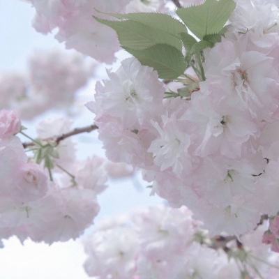 Furry创作脑洞合集兽圈群